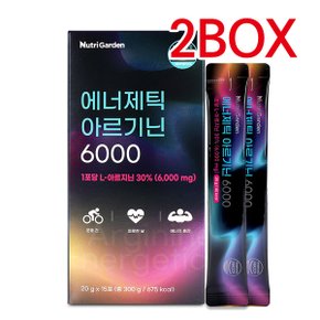 [뉴트리가든] 에너제틱 아르기닌 6000 20g*15포/고함량부스터 2BOX