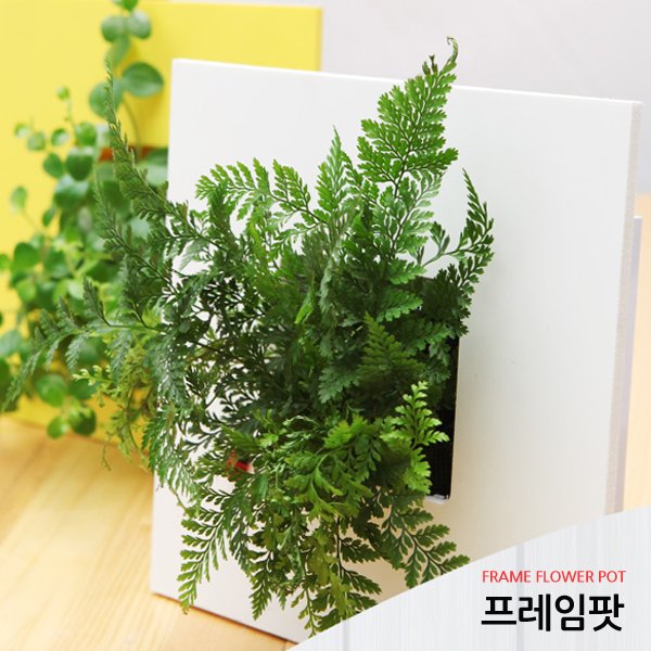 확대된 대표 메인이미지