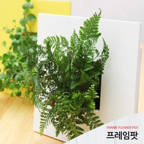 벽걸이 화분 액자형 화분 인테리어 벽장식 식물 사각 하트 선반