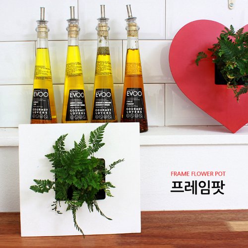 추가이미지3