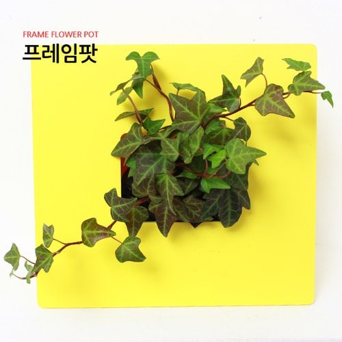 추가이미지4