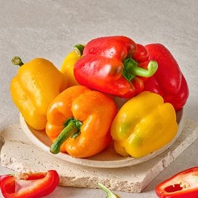 국내산 미니 파프리카 1kg