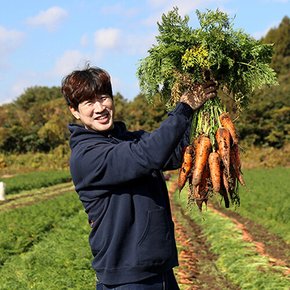 자연에서바로 경남 무농약당근 주스용 당근 흙당근 중사이즈 3kg