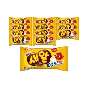  오리온 새알 초콜릿 50g x 12개