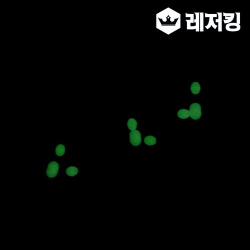 이미지3