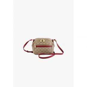 5226697 Carpisa FIORENZA - Across body bag beige burgundy