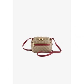 이스퀘어 5226697 Carpisa FIORENZA - Across body bag beige burgundy