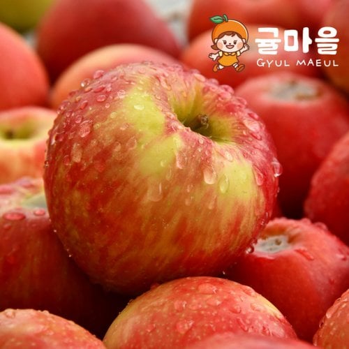 추가2이미지