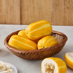 당도선별 성주 꿀 참외 가정용 2.5kg 중과