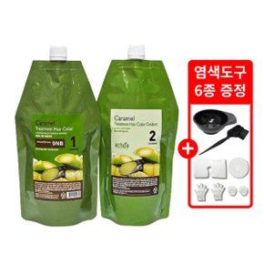 카라멜 염색 400g 아주밝은갈색(9NB) 새치 염색약 + 염색도구6종 증정