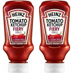 Heinz Tomato Ketchup 하인즈 스파이시 케첩 255g 2개 Fiery Chilli