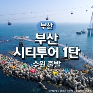 그린데이투어 KTX부산시티투어1탄기차여행(수원출발)