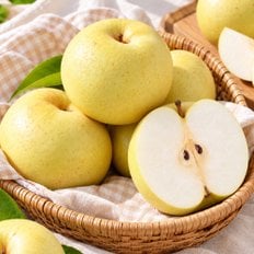 그린시스 초록 배 3kg (7~9입)