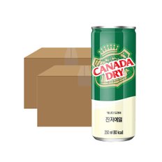 캐나다 진저에일 250ml 60캔