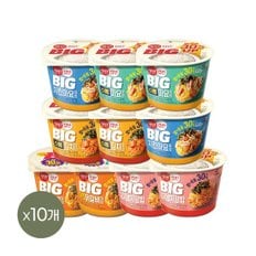 CJ제일제당 햇반 컵반 BIG 덮밥세트 10개(치킨마요x2+스팸마요x2+스팸김치x2+김치날치x2+치즈닭갈비x2)