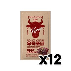 항진 대한 우육포 술안주간식 40g x 12개