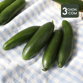 껍질째 먹기 좋은 미니 오이 500g