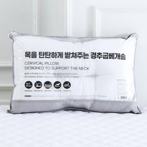 봄맞이 베개솜 20%할인