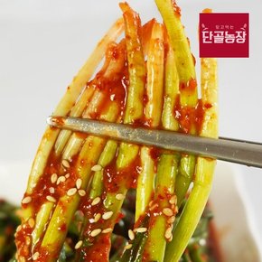 단골농장 국내산 전라도식 갓담근 알싸한 파김치 2kg