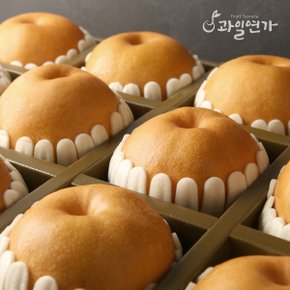 [과일선물세트] 프리미엄 배선물세트(12개입)