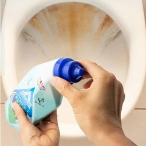 변기 클리너 세정제 유칼립투스 750ml 요석 석회 욕실청소 세제 악취 물때 제거 세정제