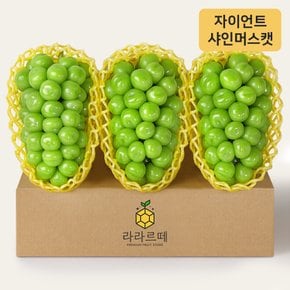 프리미엄 자이언트 샤인머스켓 3입 (개당 750g 이상)