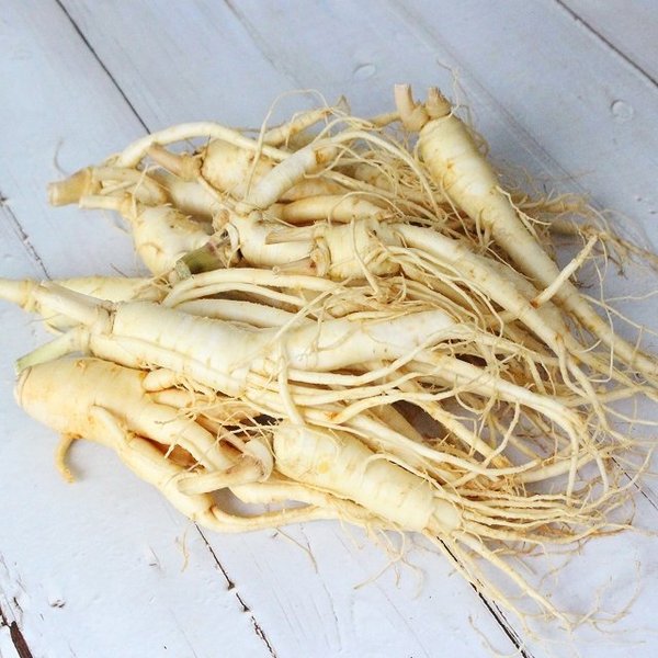 [산지직송] 금산 황금농장 오쿠용1회분 난발삼 250g(8편내외)