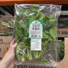 글로벌푸드 코스트코 무농약 루꼴라 150g