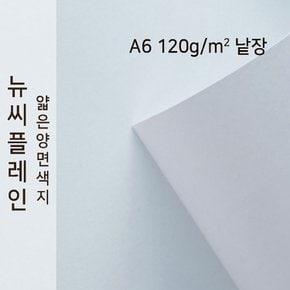 종이문화 뉴씨플레인 얇은 양면색상지 120g A6 No.04 밝은회색 낱장 1매 색지