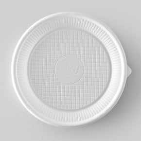 친환경 일회용접시 230mm 10개입 일회용 용기 그릇 일회용품