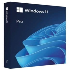 MS WINDOWS 11 PRO   FPP ENGLISH USB PKG(영문처음사용자용)