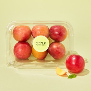 빨리 만나는 하우스자두300g/팩