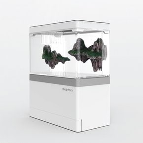 모모탱크 M-175 스페셜세트
