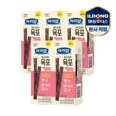 [비밀특가] 후디스 아이얌 부드러운 육포 쇠고기 30g 5개