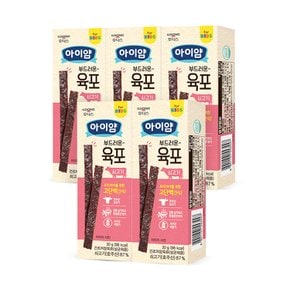 [비밀특가] 후디스 아이얌 부드러운 육포 쇠고기 30g 5개