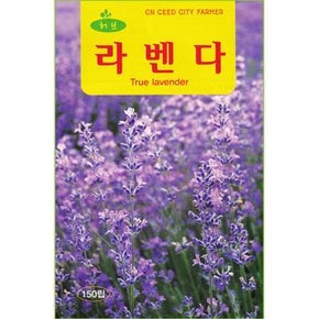 라벤다 허브 씨앗 150립