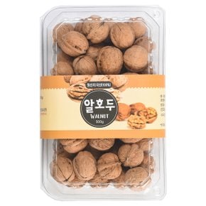 Fresh 일성영농조합법인 국내산 알호두 500g