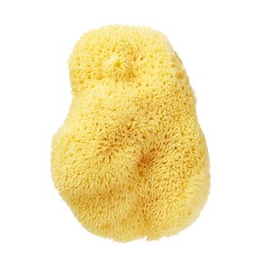 천연 해면 [Silk Cosmetic Sea Sponge](3.5~4인치)