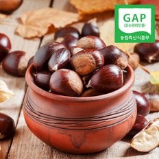 [GAP인증] 산지직송 충남 공주 정안 대보밤 2kg(대)