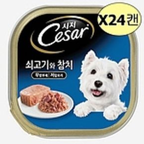 강아지용 저 칼로리 소고기 참치 캔 간식 100g 24EA