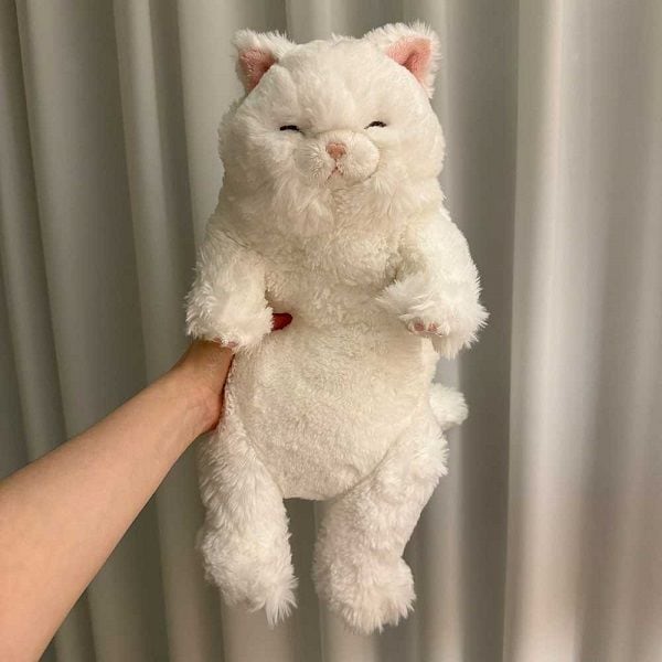 확대된 대표 대표이미지