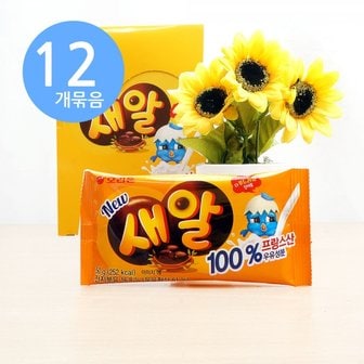 아루마트 오리온 새알 초콜릿 50g x12개