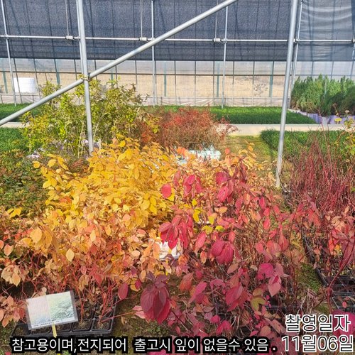 추가이미지5