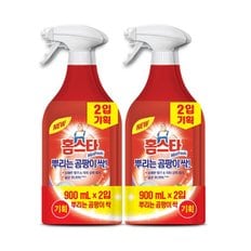 홈스타 곰팡이용세정제 900ML*2