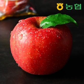 프레시데이 [농협] 아삭달콤 사과 모음전