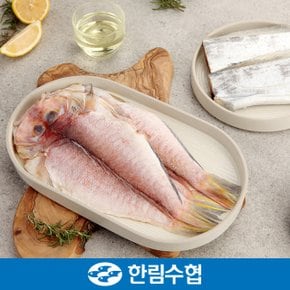 [9/5(목)순차출고][제주 한림수협] 제주 갈치3미(1미당 300g)+제주 옥돔3미(1미당 160g) 혼합세트+부직포가방 증정_국내산_냉동비축품