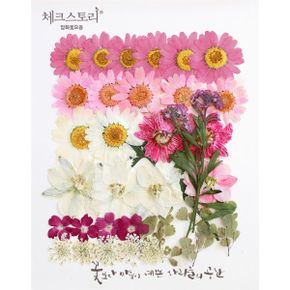 압화 꽃모음 - B타입 로맨틱가든 꽃모음