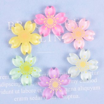 5. 테이블 침대 장..