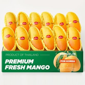 수플린 항공직송 고당도 무지개망고 마하차녹망고 5kg(10~18입)
