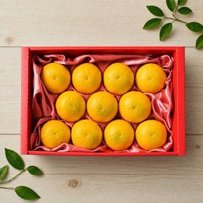 [9/15(화) 순차출고] 이제주 과즙가득 황금향 선물세트 2.5kg 8과 내외 보자기포장